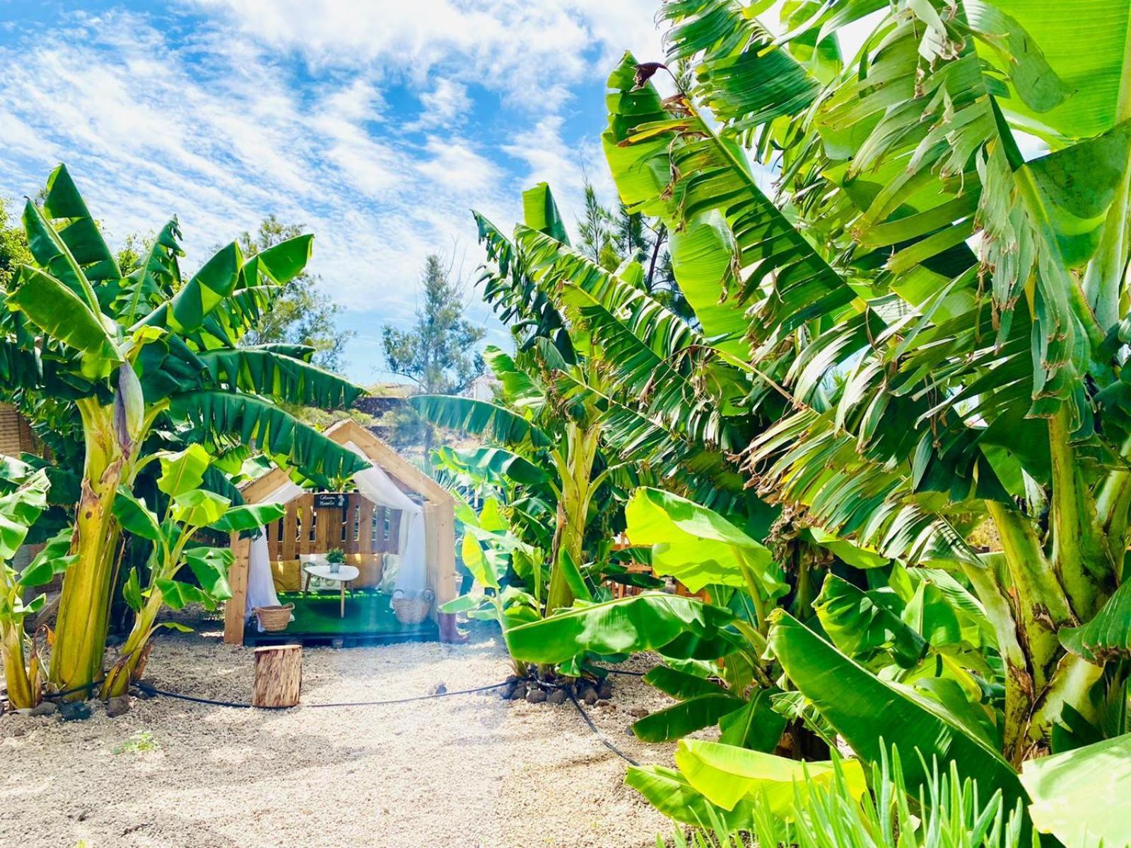 Hotel Privado Serendipia Natural Club Exclusive Buzanada Ngoại thất bức ảnh