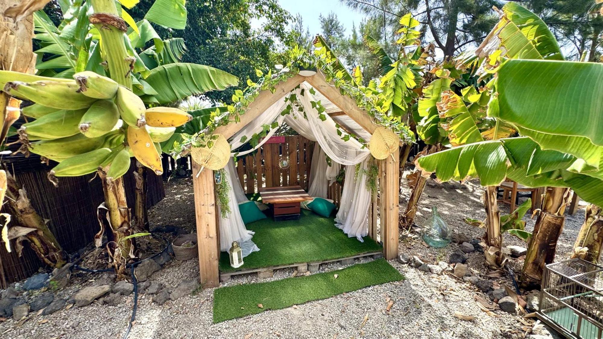 Hotel Privado Serendipia Natural Club Exclusive Buzanada Ngoại thất bức ảnh