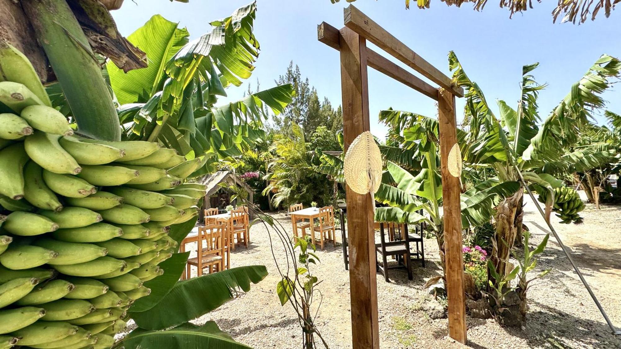 Hotel Privado Serendipia Natural Club Exclusive Buzanada Ngoại thất bức ảnh